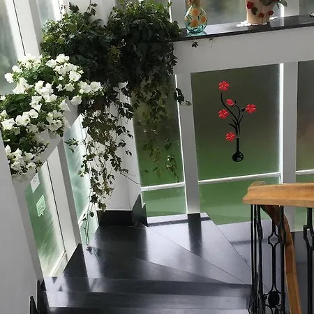 Il Giardino Di Flora Con Piscina * Λέτσε