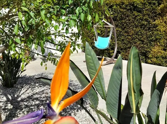 Il Giardino Di Flora Con Piscina & Jacuzzi 招待所 莱切