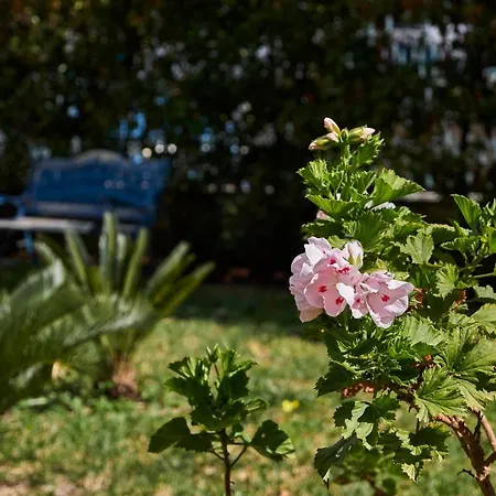 Guest house Il Giardino Di Flora Con Piscina *
