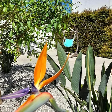 Il Giardino Di Flora Con Piscina & Jacuzzi Penzion Lecce