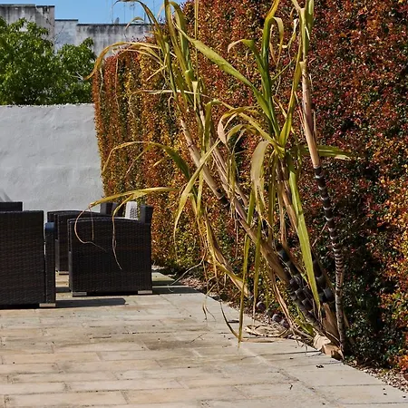 Il Giardino Di Flora Con Piscina Lecce