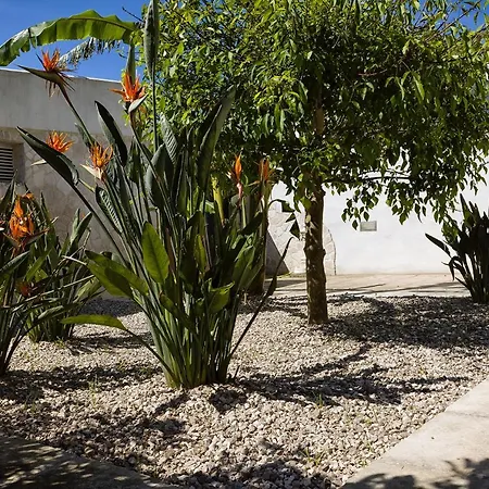 Il Giardino Di Flora Con Piscina *