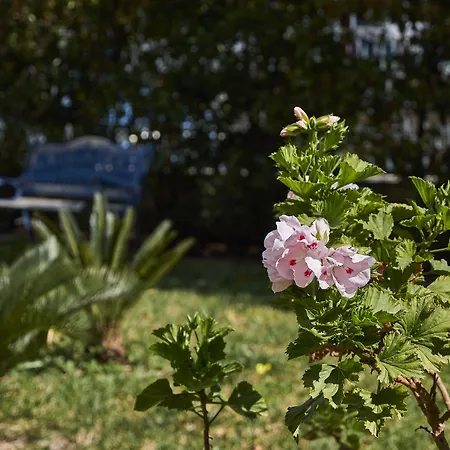 Penzion Il Giardino Di Flora Con Piscina & Jacuzzi Lecce